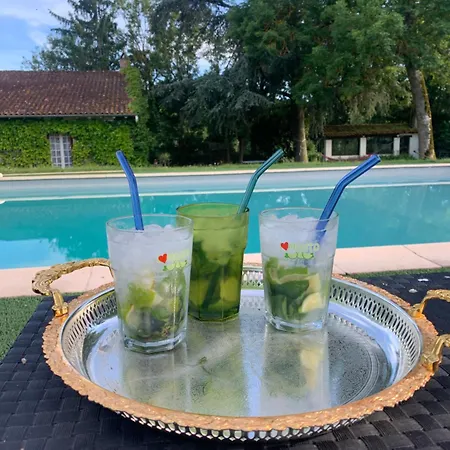 Domaine Du Cheval D'argent Bed & Breakfast Saiguede