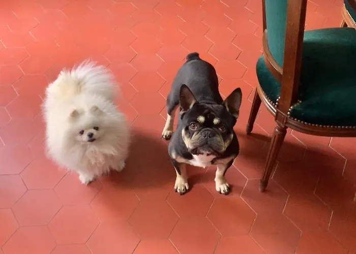 Domaine Du Cheval D’argent Couette-café 3*