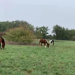 Domaine Du Cheval D'argent