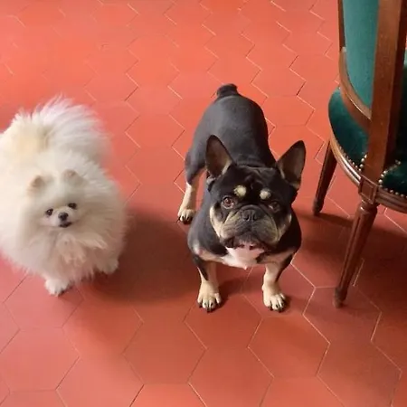 Domaine Du Cheval D'argent Panzió 3*