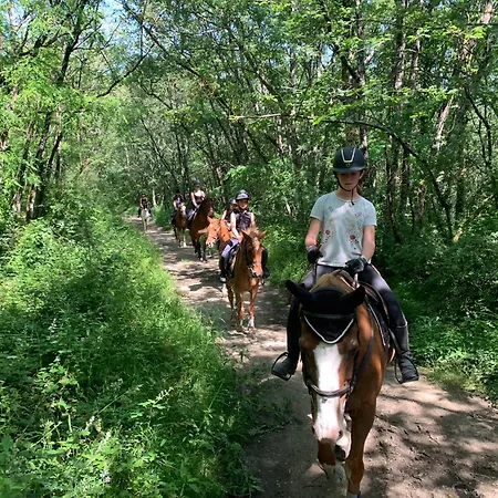 Domaine Du Cheval D'argent Отель типа 