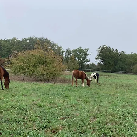 Domaine Du Cheval D'argent