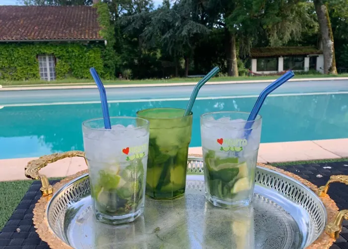 Domaine Du Cheval D'argent Bed & Breakfast Saiguede