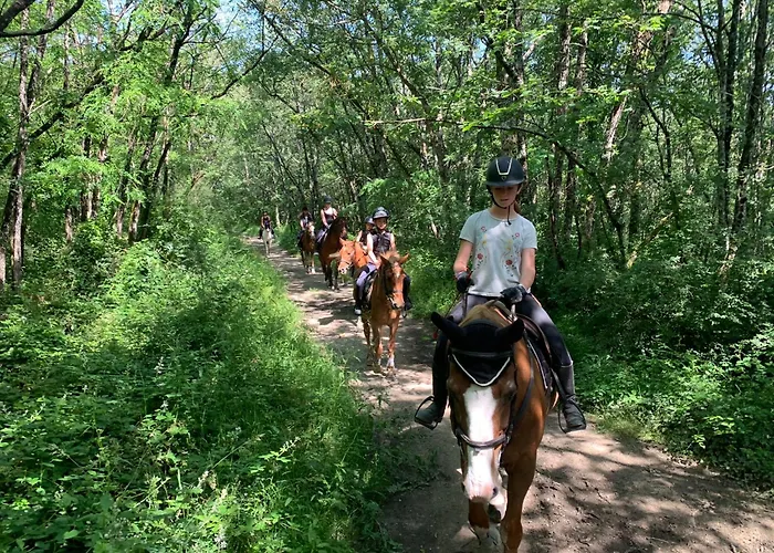 Domaine Du Cheval D'argent Bed & Breakfast