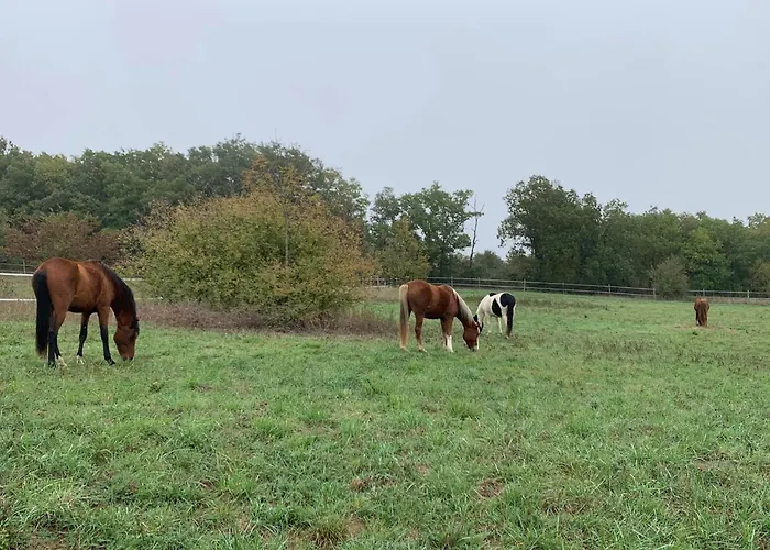 Domaine Du Cheval D'argent