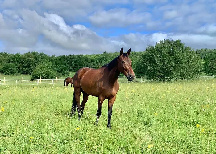 Bed & Breakfast Domaine Du Cheval D'argent Saiguede